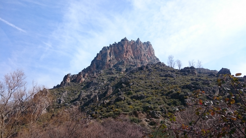 dsc_1079.png