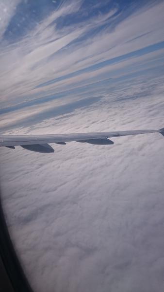 dsc_0433.jpg