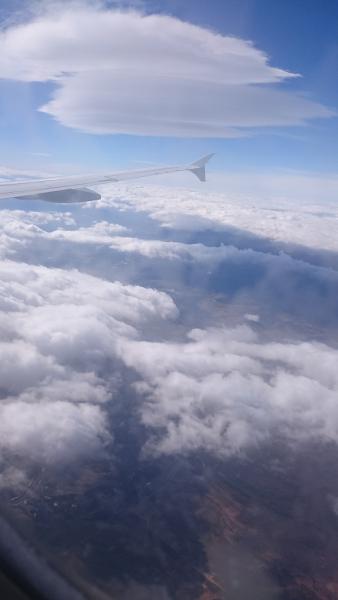 dsc_0446.jpg
